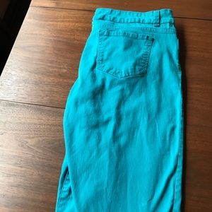Gloria Vanderbilt Aiden skimmer size 12